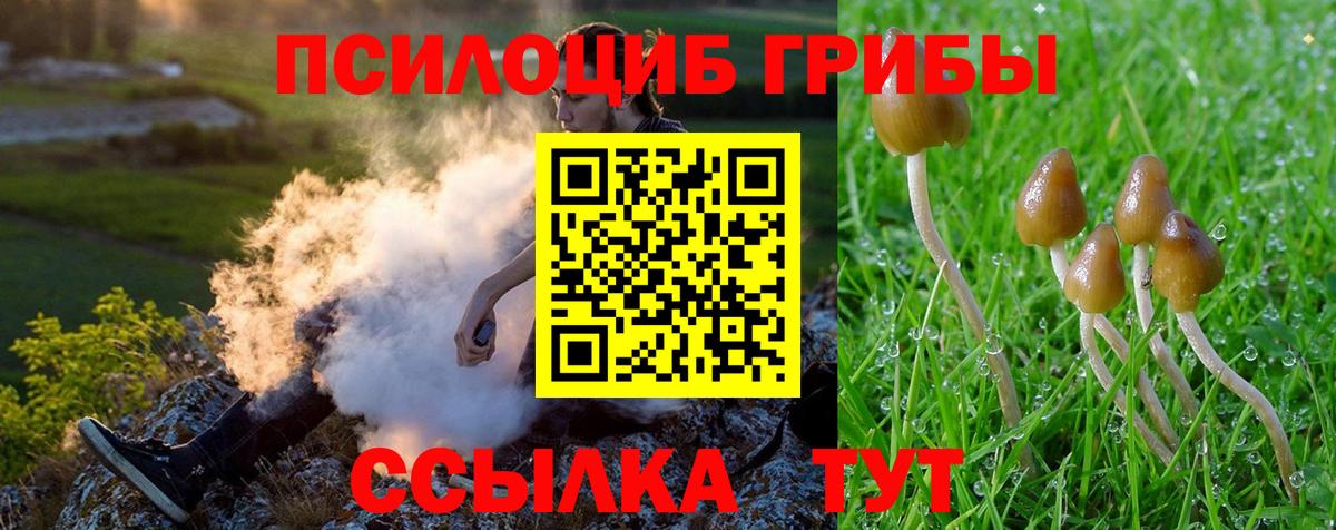 Галлюциногенные грибы MAGIC MUSHROOMS  Галлюциногенные грибы Psilocybe  Вход с VPN  Саки 