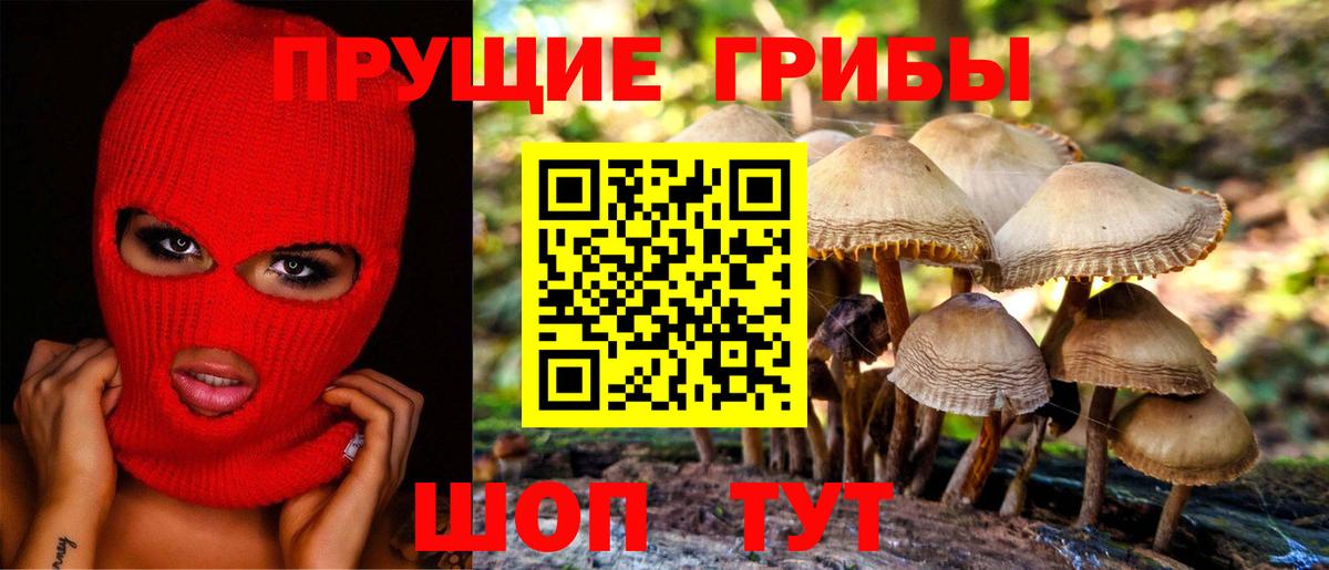 Псилоцибиновые грибы GOLDEN TEACHER Саки